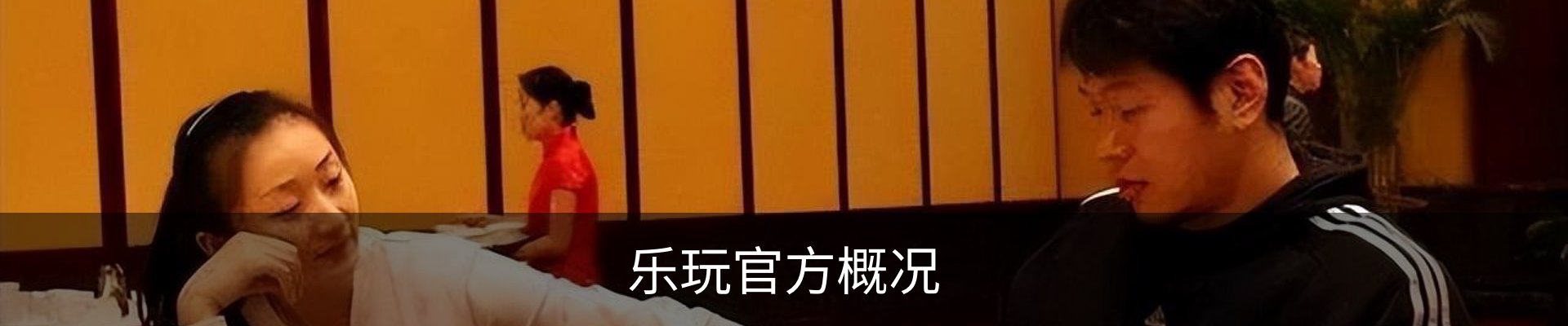 乐玩官方概况
